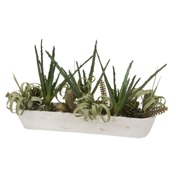 Distinctive Designs Home Decor Succulent Garden in White Wooden Trough