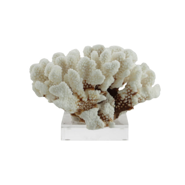 Legend of Asia Home Decor Legend of Asia Brownstem Coral 7-10 Inch On Acrylic Base