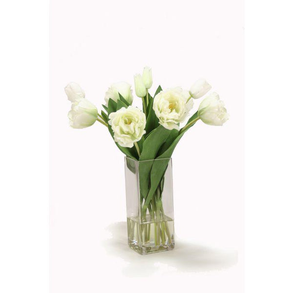 Cream Green Parrot Tulips in Square Vase