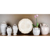 Danny's Fine Porcelain Shell Plate (plate Stand Sold Separately) 11905