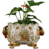 Danny's Fine Porcelain Lotus Basin - Pinnara