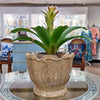 Danny's Fine Porcelain Porcelain Planter - Pirano