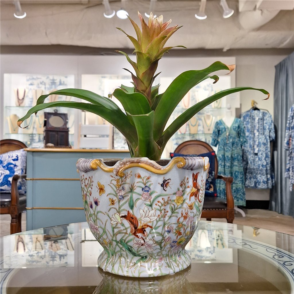 Danny's Fine Porcelain 8l X 8d X 6h Porcelain Planter-Gloria