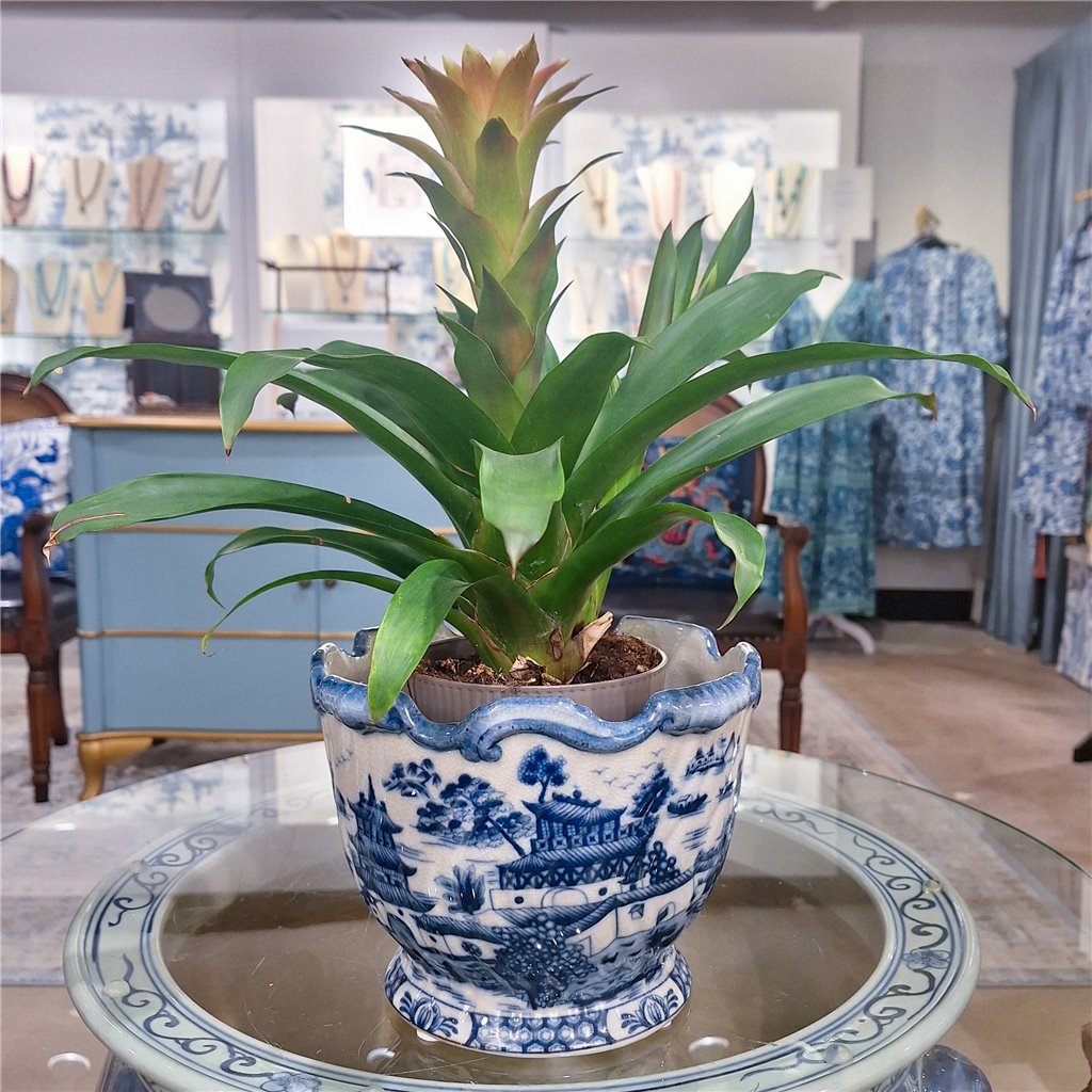 Danny's Fine Porcelain Planter - Blue Willow