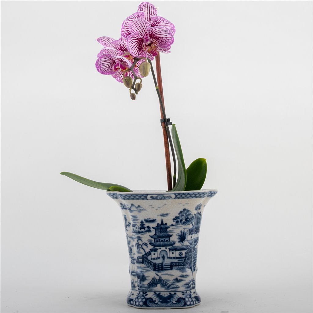 Danny's Fine Porcelain Flower Vase - Blue Willow