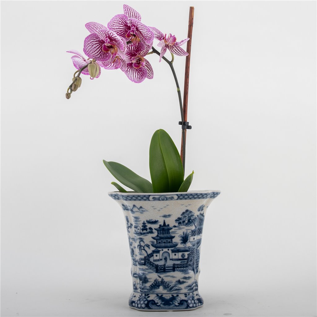 Danny's Fine Porcelain Flower Vase - Blue Willow