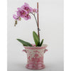 Danny's Fine Porcelain Planter-Pink Willow