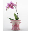 Danny's Fine Porcelain Planter-Pink Willow