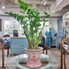 Danny's Fine Porcelain Planter-Pink Willow