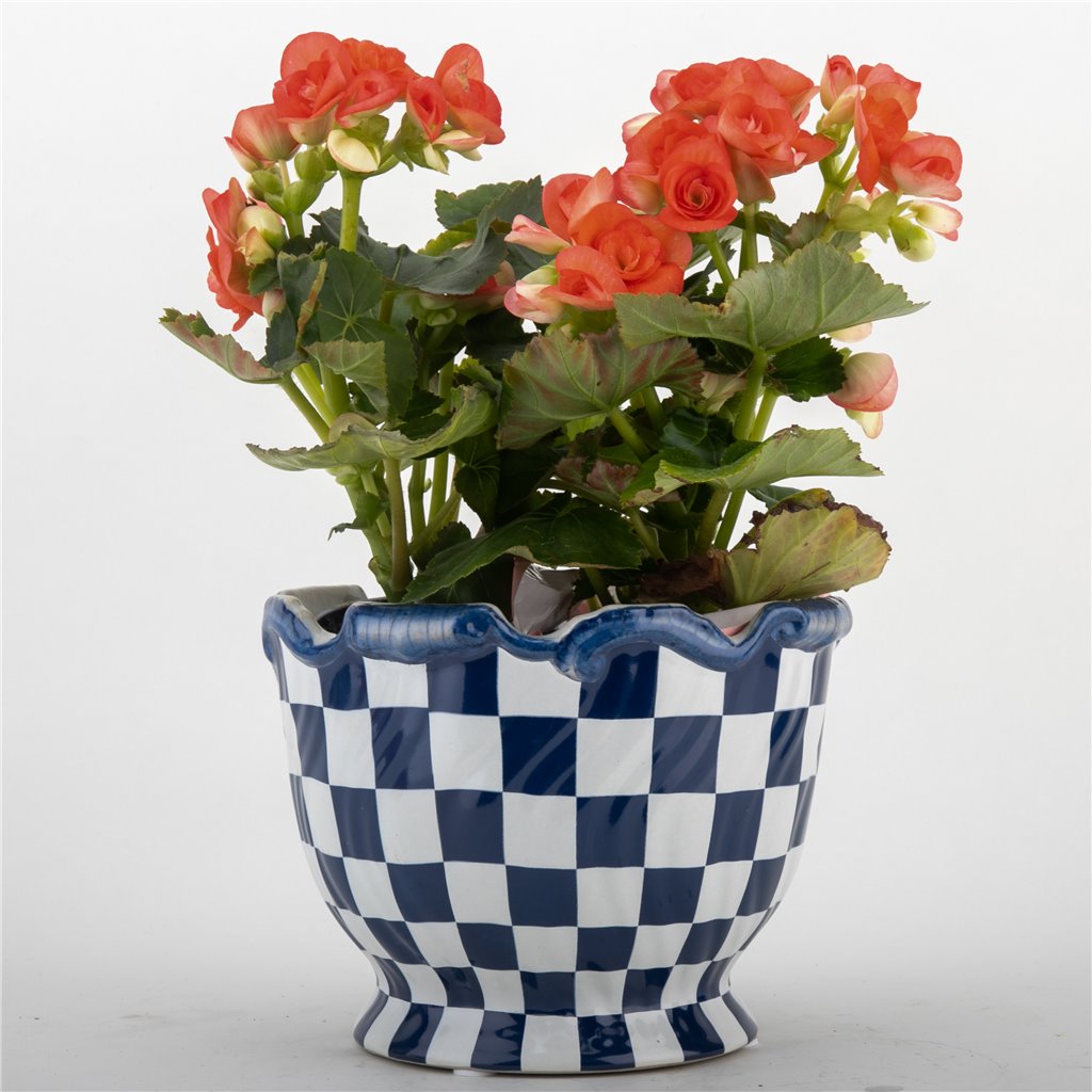 Danny's Fine Porcelain Planter - Blue & White Checker