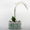 Danny's Fine Porcelain Planter- Green Willow