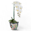 Danny's Fine Porcelain Porcelain Scallop Planter - Tobacco Leaf