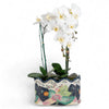 Danny's Fine Porcelain Porcelain Planter - Tobacco Leaf