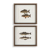 Uttermost The Catch Framed Prints, S/2 - CLOSEOUT