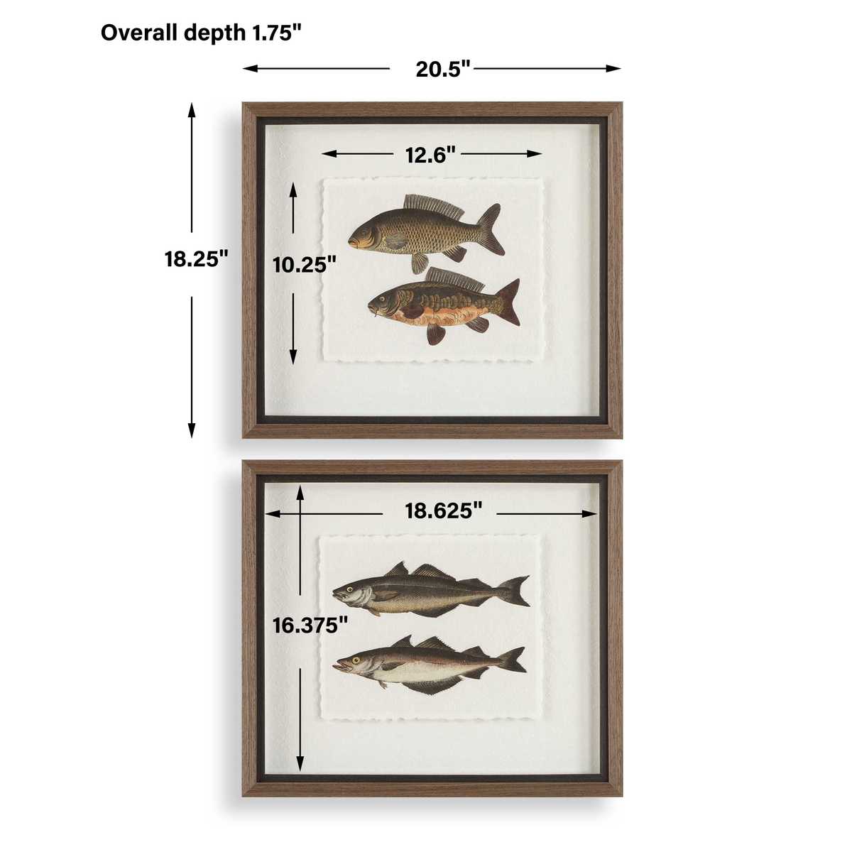 Uttermost The Catch Framed Prints, S/2 - CLOSEOUT