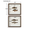 Uttermost The Catch Framed Prints, S/2 - CLOSEOUT