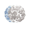 Beatriz Ball VIDA English Toile  Reversible Placemats Set of 4 (Blue and Gray)