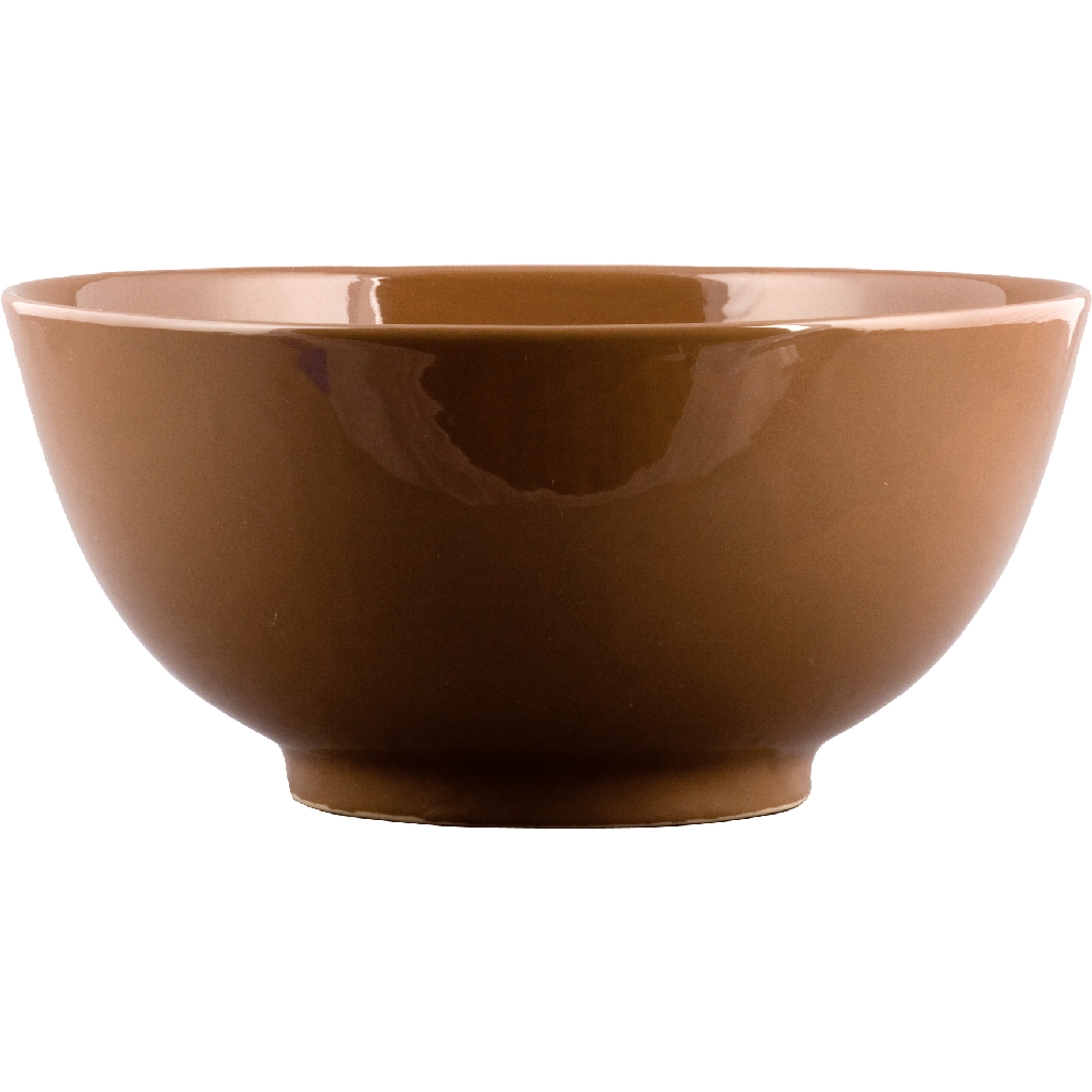 Danny's Fine Porcelain 12" Bowl - Brown
