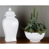 Danny's Fine Porcelain Round Bowl- White