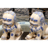 Danny's Fine Porcelain Small Pair of Lucky Foo Dog-Blue & White