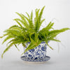Danny's Fine Porcelain Blue & White Planter and Saucer Set of 2