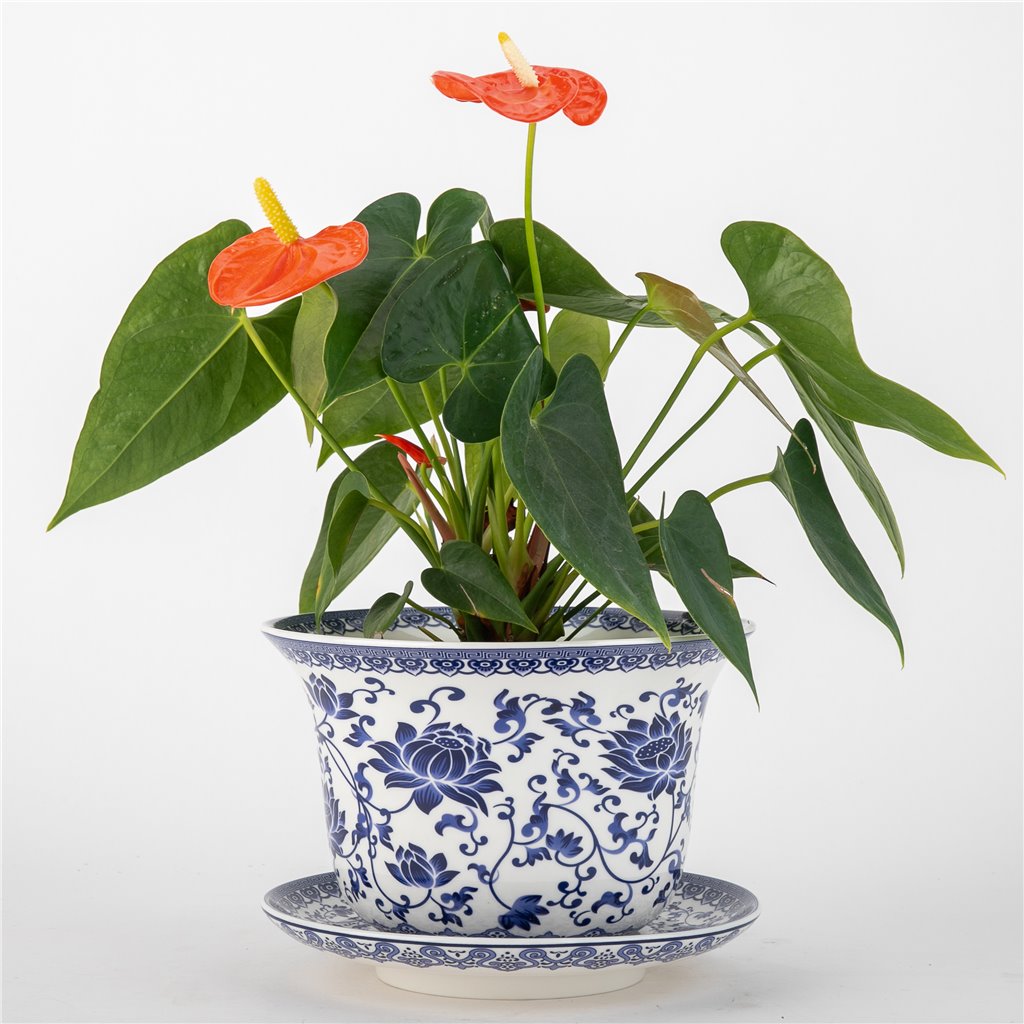 Danny's Fine Porcelain Blue & White Planter and Saucer Set of 2