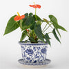 Danny's Fine Porcelain Blue & White Planter and Saucer Set of 2