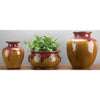 Danny's Fine Porcelain Red Majolica Vase (ac96b-66)