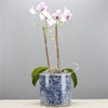 Danny's Fine Porcelain Round Bucket- Classic Blue & White