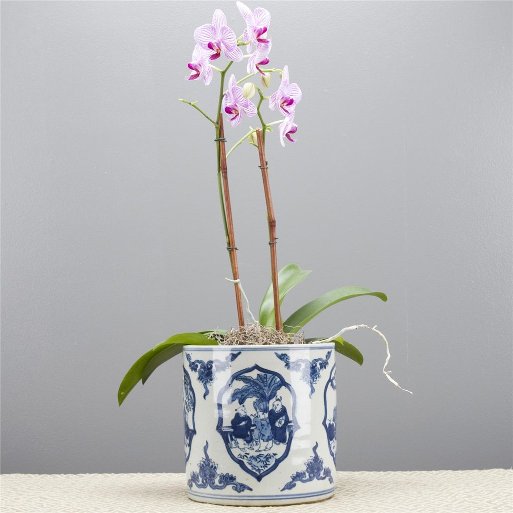Danny's Fine Porcelain Round Bucket- Classic Blue & White