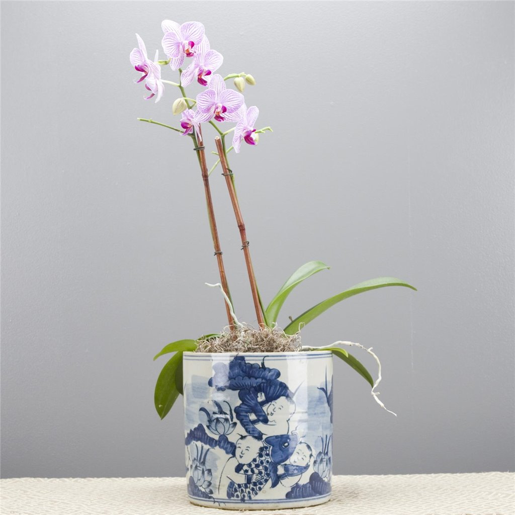 Danny's Fine Porcelain Classic Pot- Blue & White Child and Fish