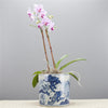 Danny's Fine Porcelain Classic Pot- Blue & White Child and Fish