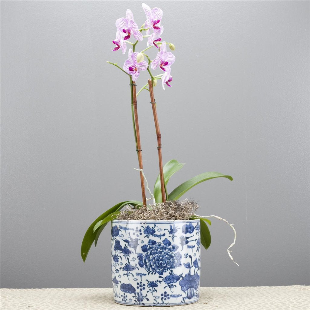 Danny's Fine Porcelain Classic Porcelain Pot - Peony