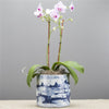 Danny's Fine Porcelain Classic Pot - Village Scene