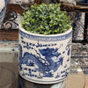 Danny's Fine Porcelain Classic Porcelain Pot - Dragon