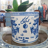 Danny's Fine Porcelain Classic Porcelain Pot - Dragon