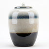 Danny's Fine Porcelain Melon Lidded Jar- Transition Glaze