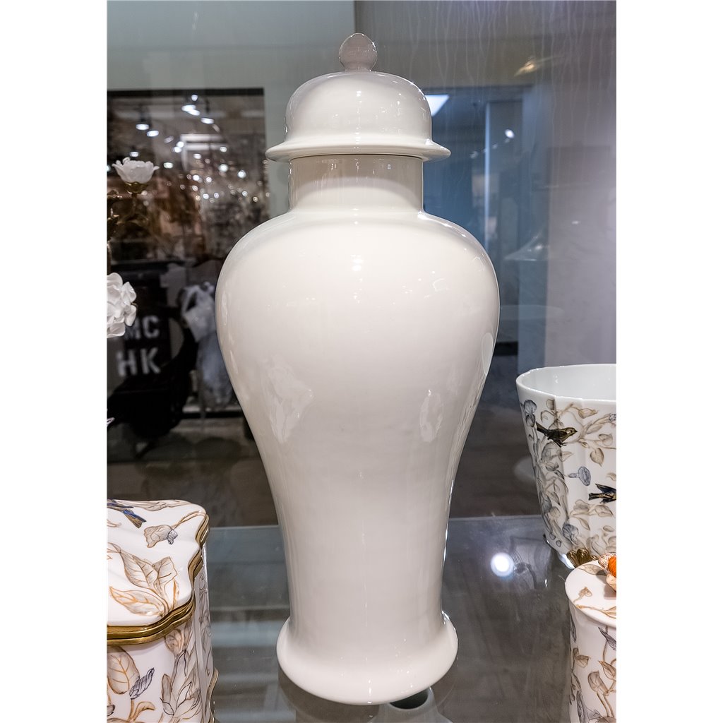 Danny's Fine Porcelain Lidded Jar-White