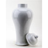 Danny's Fine Porcelain Lidded Jar-White