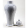 Danny's Fine Porcelain Lidded Jar-White
