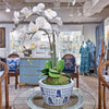 Danny's Fine Porcelain Longevity Basin