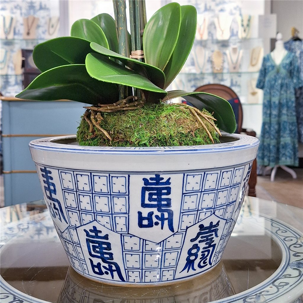 Danny's Fine Porcelain Longevity Basin