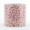 Danny's Fine Porcelain Planter (salmon Color)