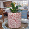Danny's Fine Porcelain Planter (salmon Color)