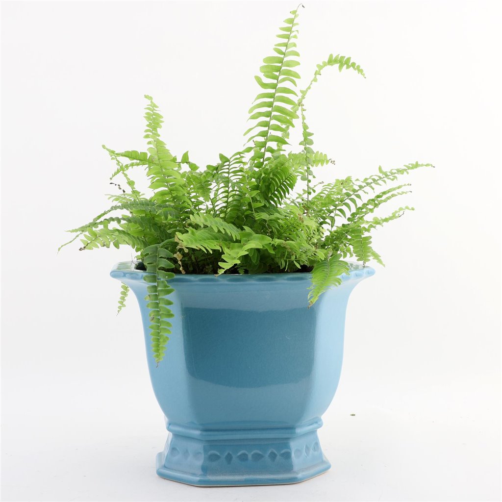 Danny's Fine Porcelain Porcelain Octagonal Footed Planter - Sky Blue (small)
