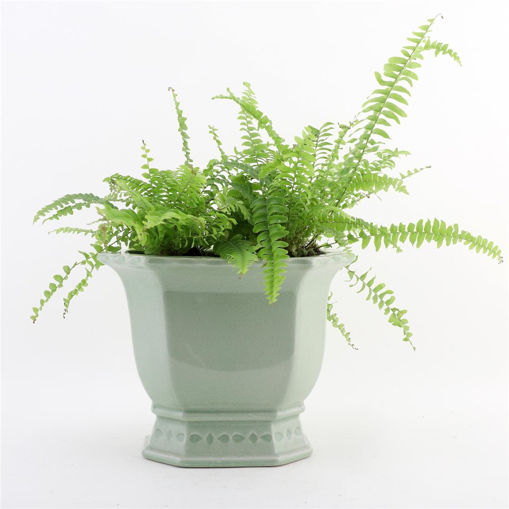 Danny's Fine Porcelain Octagonal Footed Planter - Light Green (small)