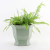 Danny's Fine Porcelain Octagonal Footed Planter - Light Green (small)