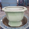 Danny's Fine Porcelain Octagonal Footed Planter - Light Green (small)