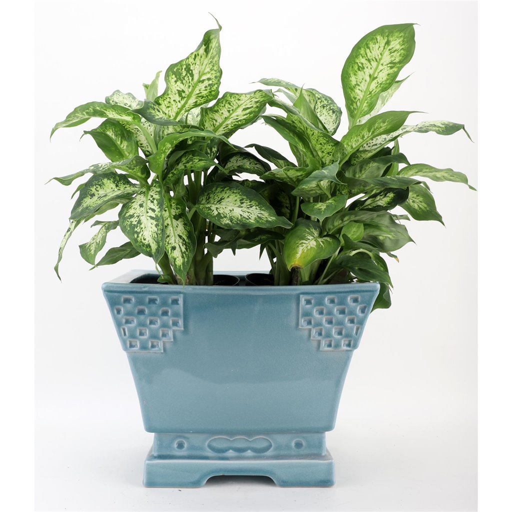 Danny's Fine Porcelain Porcelain Rectangular Planter - Sky Blue (large)