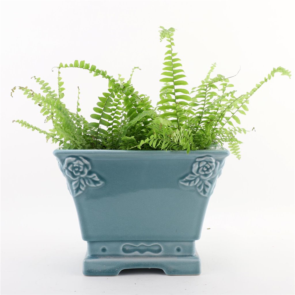 Danny's Fine Porcelain Porcelain Rectangular Planter - Sky Blue (small)